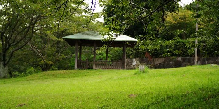 緑の芝生と東屋がある公園の風景（イメージ）
